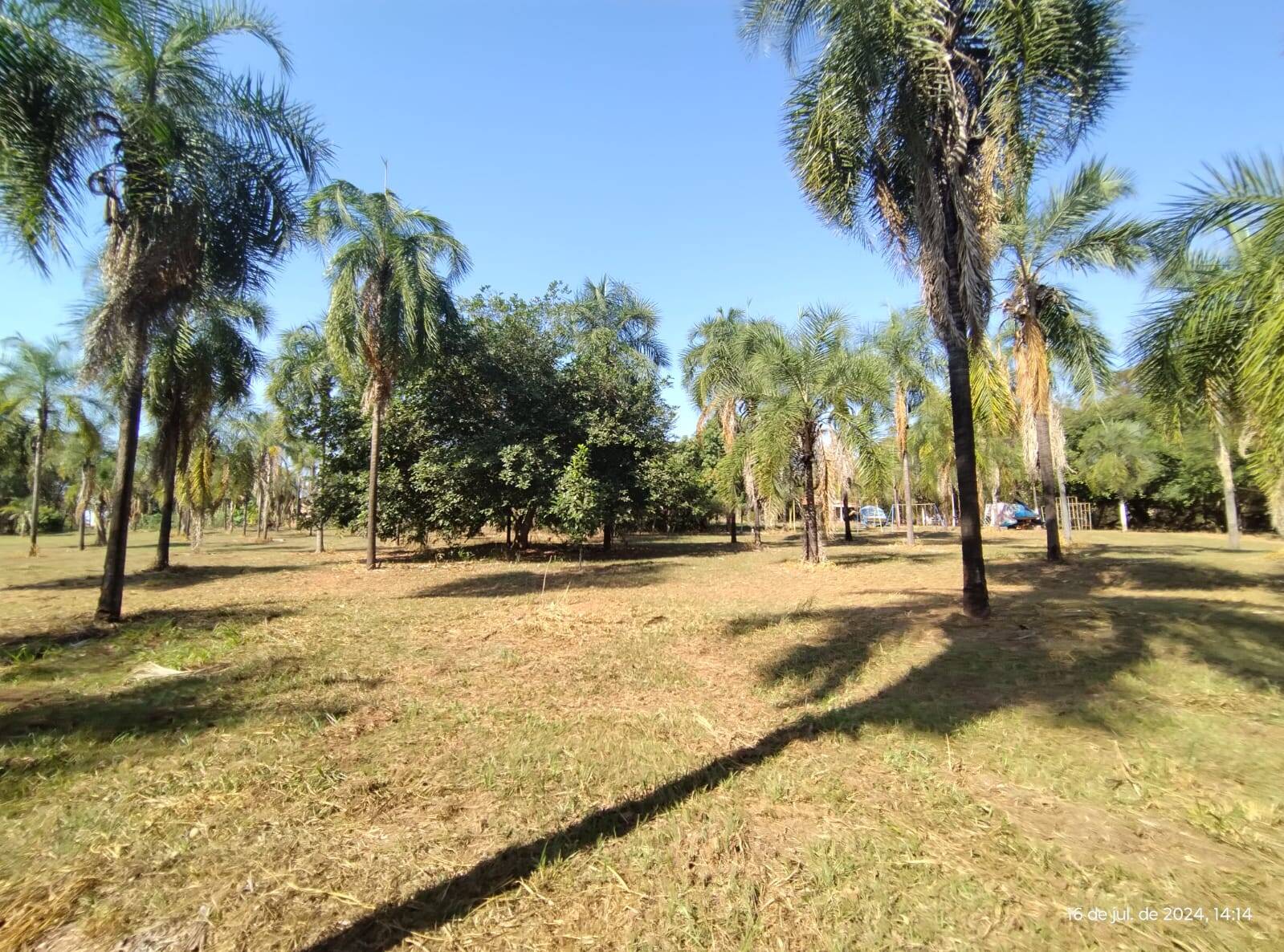 #RA 0012 - Rancho para Venda em Araçatuba - SP