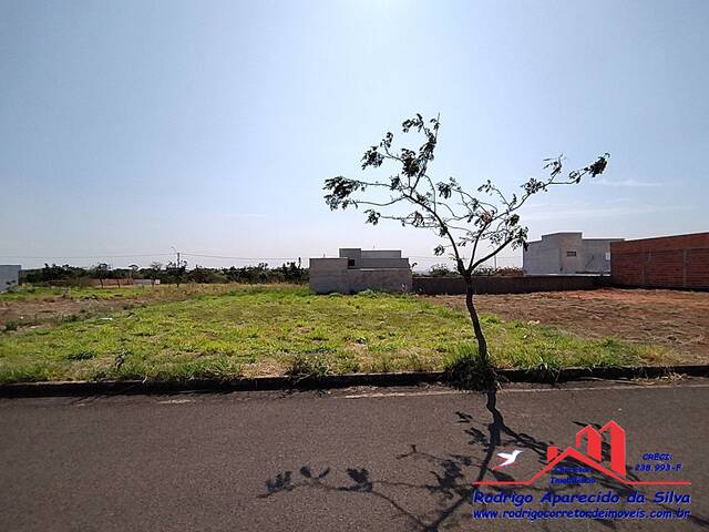 Terreno para Venda em Birigui - 5