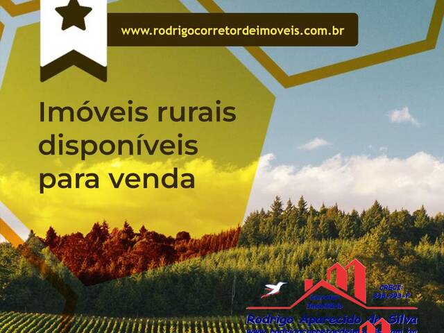 #ST 0004 - Sítio para Venda em Braúna - SP - 1