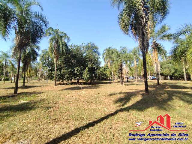 #RA 0012 - Rancho para Venda em Araçatuba - SP - 1