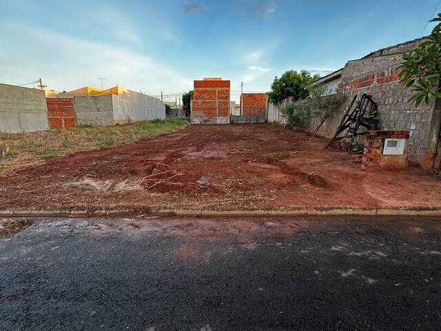 #TO 0020 - Terreno para Venda em Coroados - SP - 3