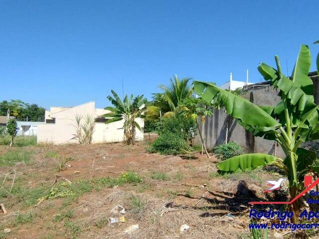 Terreno para Venda em Birigui - 1