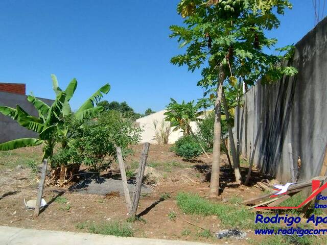 Terreno para Venda em Birigui - 3