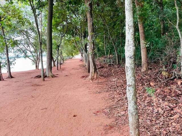 #341 - Rancho para Venda em Buritama - SP - 3