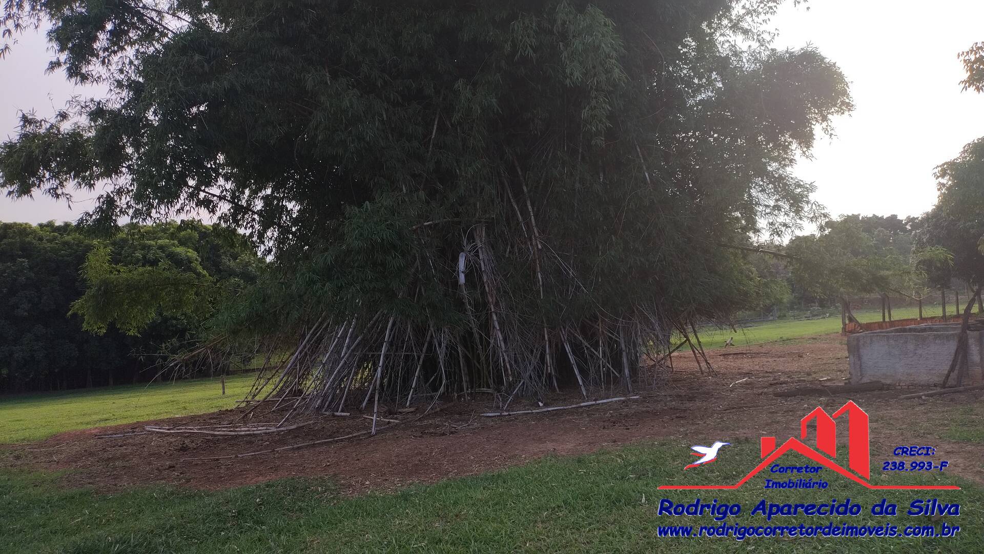 Sítio, 3 quartos, 2 m² - Foto 30