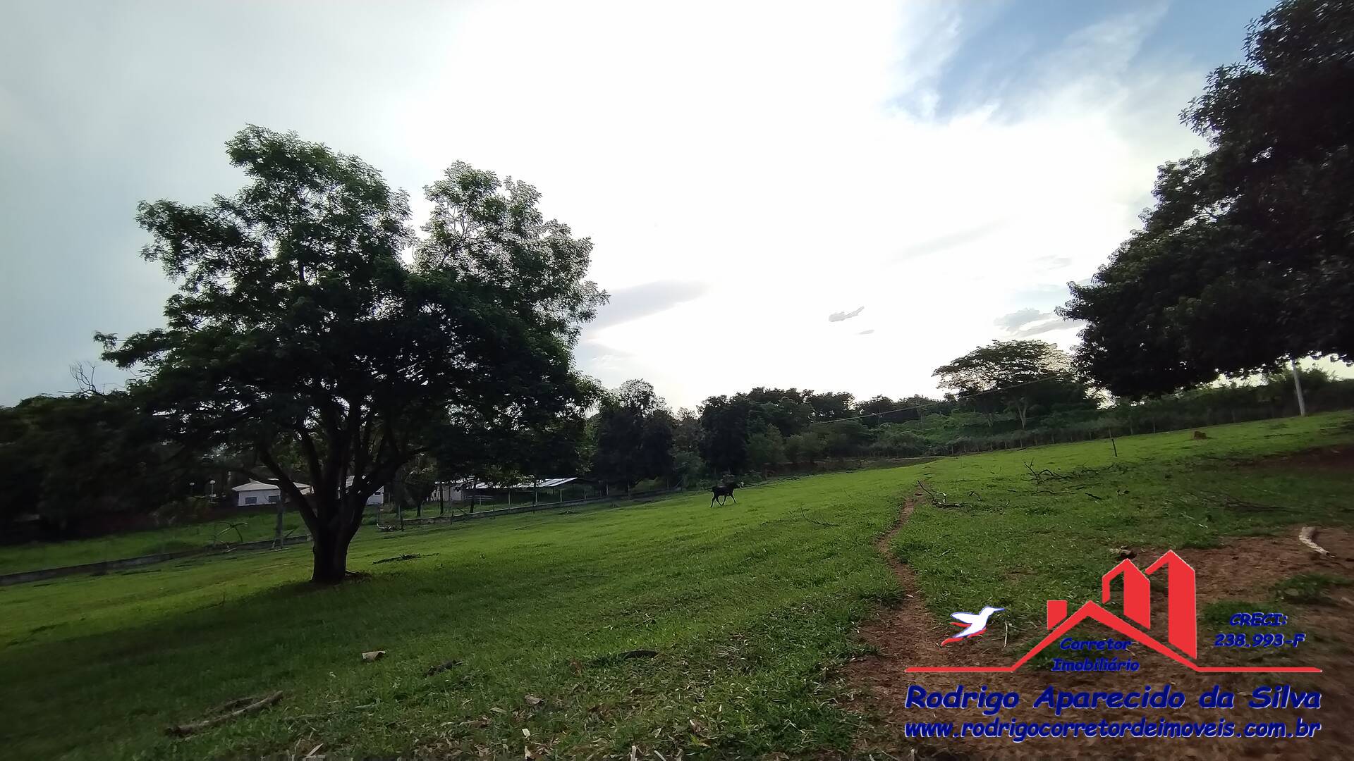 Sítio, 3 quartos, 2 m² - Foto 28