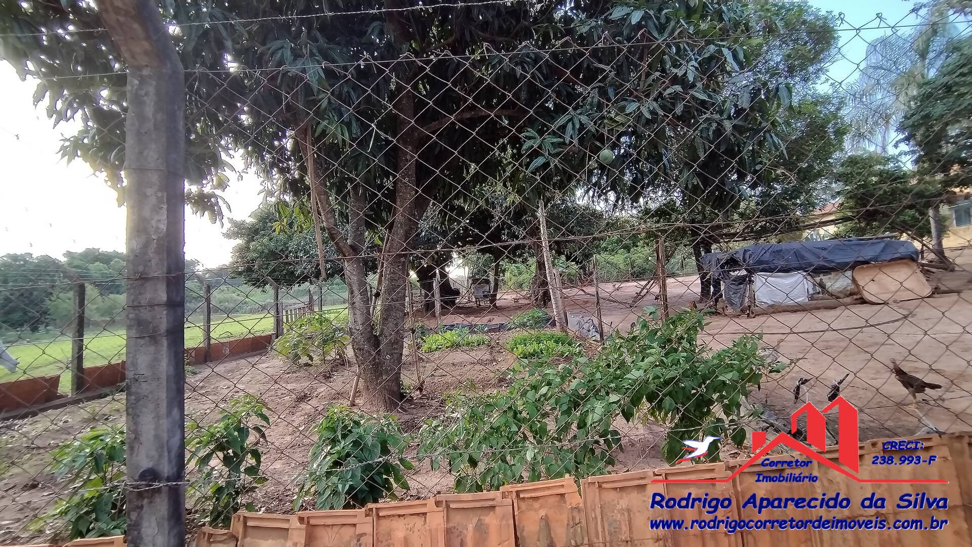 Sítio, 3 quartos, 2 m² - Foto 36