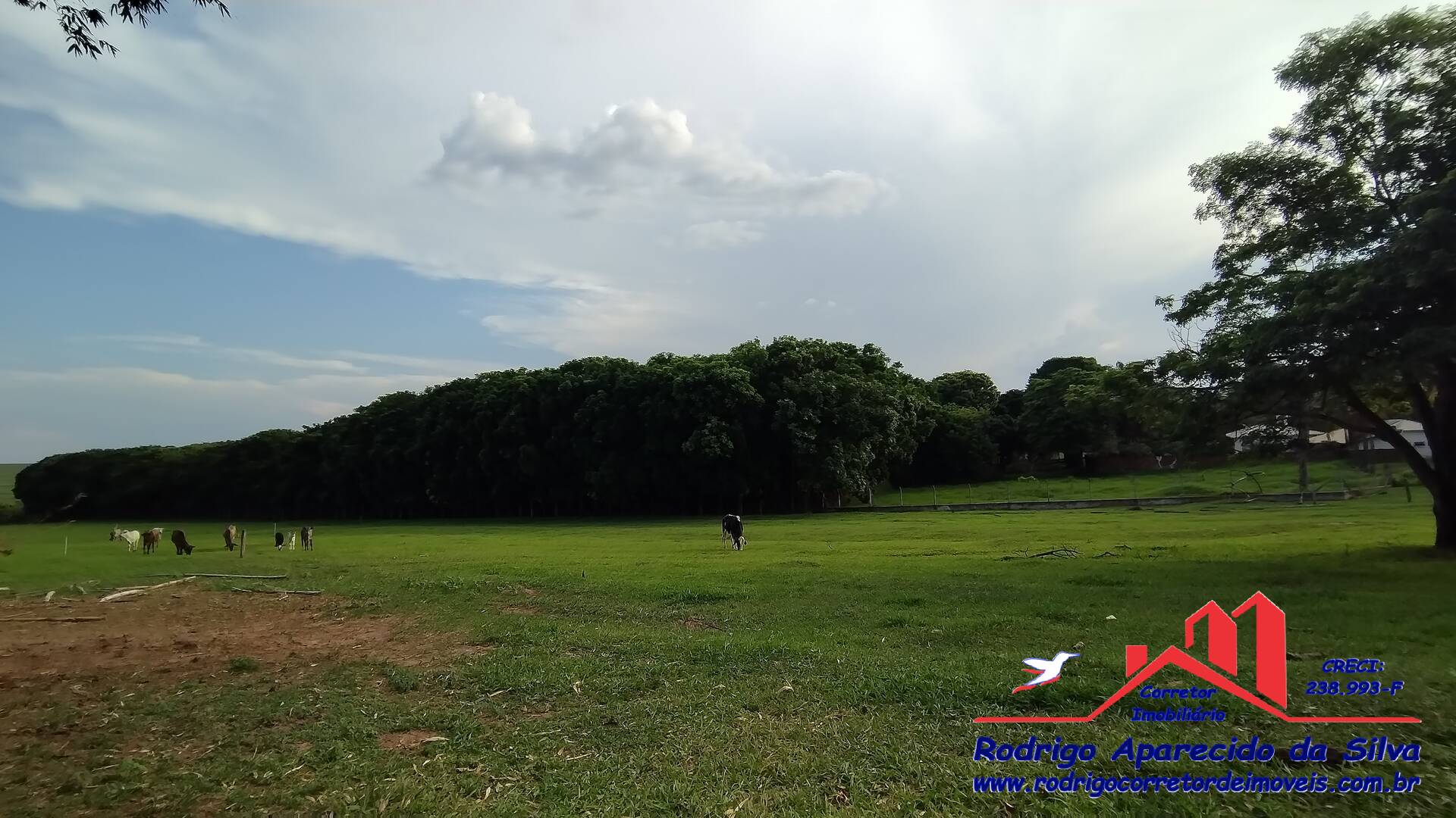 Sítio, 3 quartos, 2 m² - Foto 25