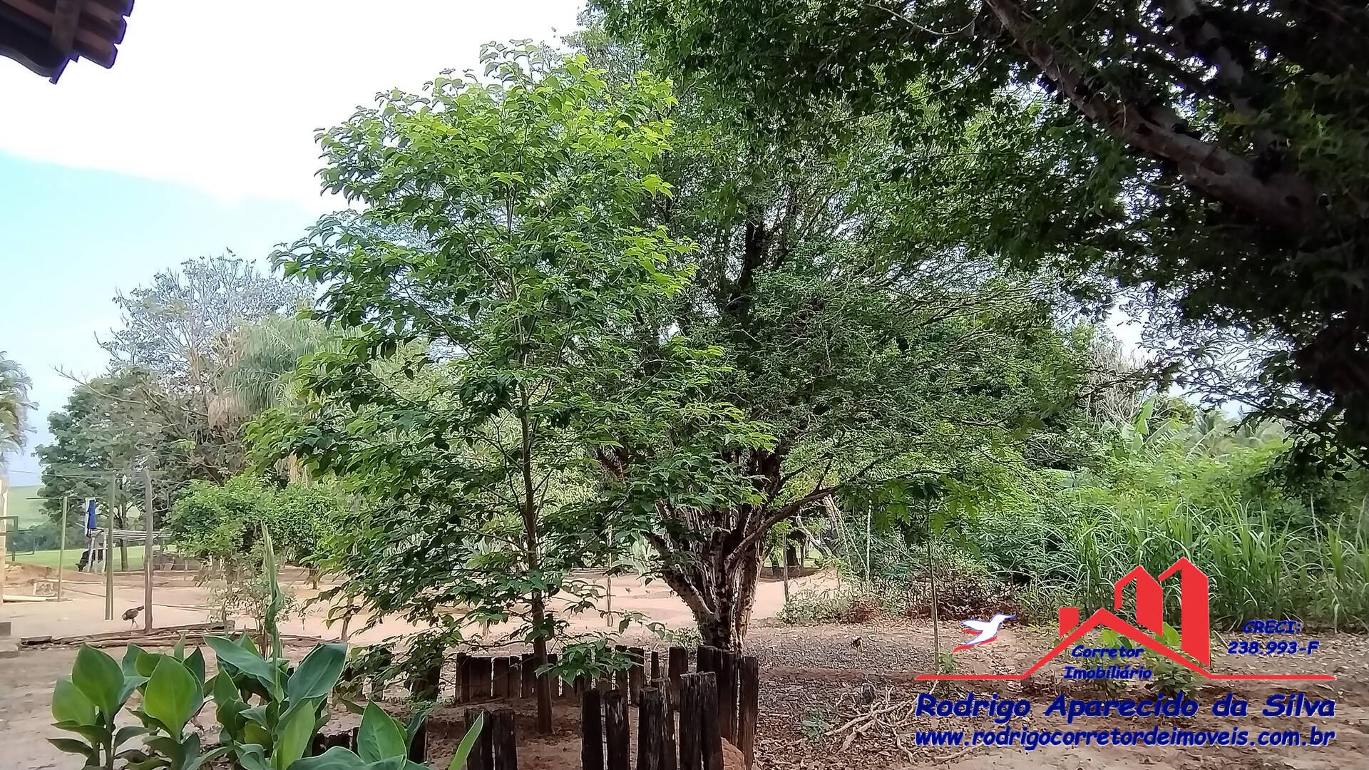 Sítio, 3 quartos, 2 m² - Foto 33