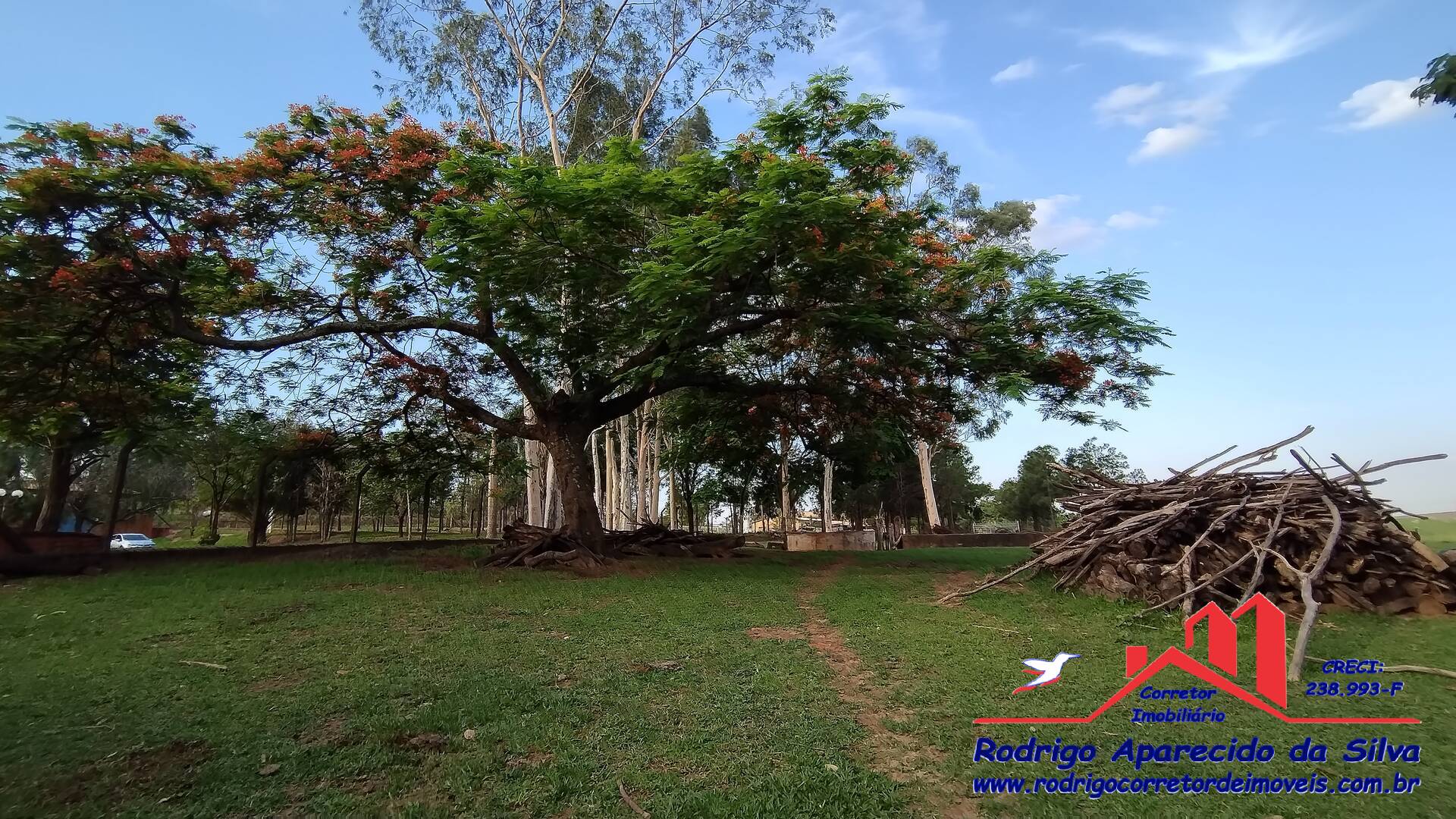 Sítio, 3 quartos, 2 m² - Foto 34