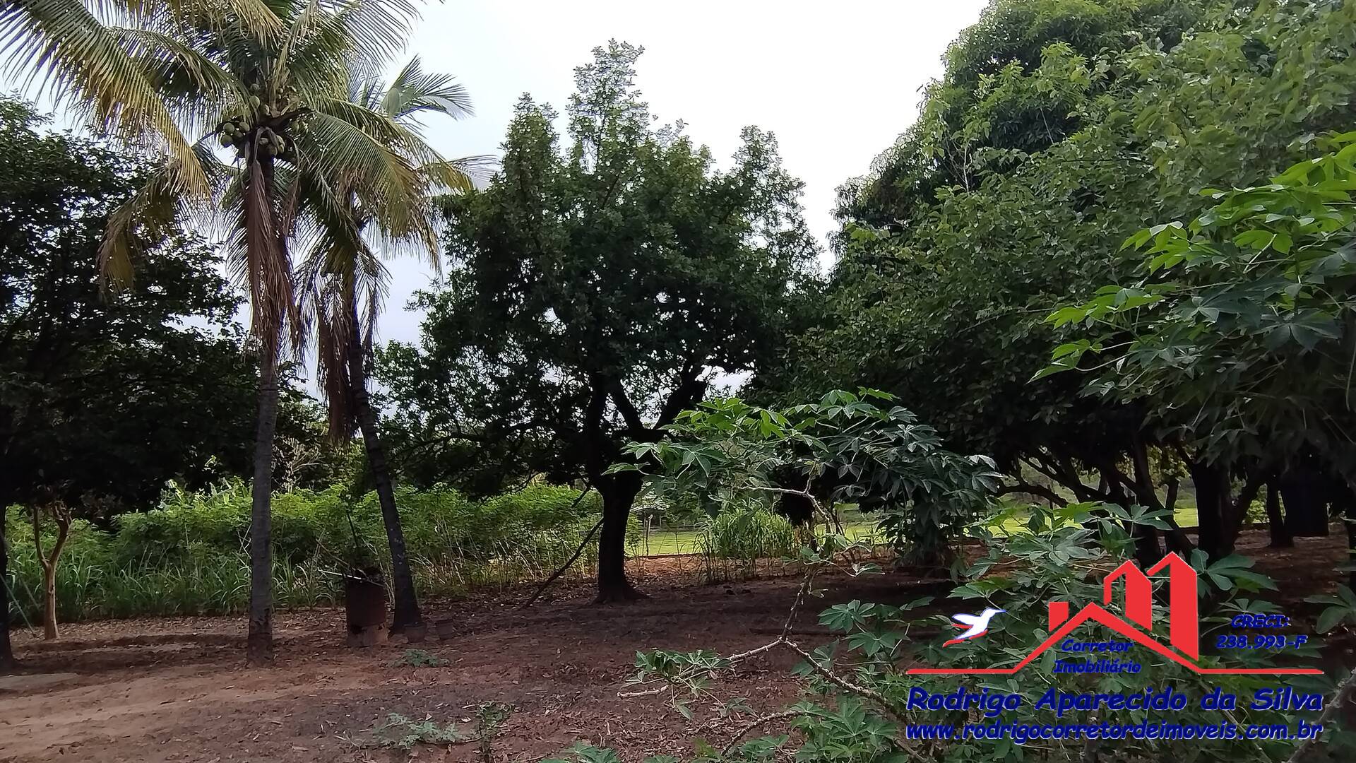 Sítio, 3 quartos, 2 m² - Foto 38