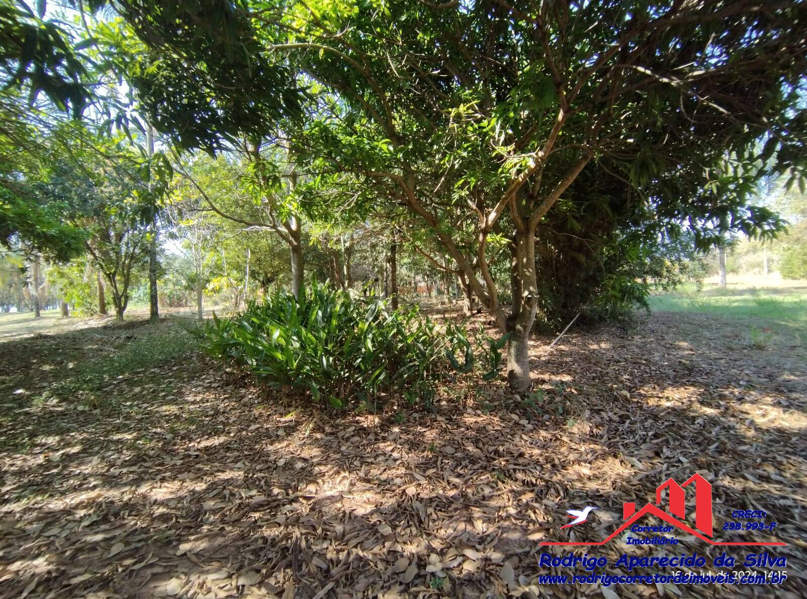 Chácara, 2 quartos, 1000 m² - Foto 31