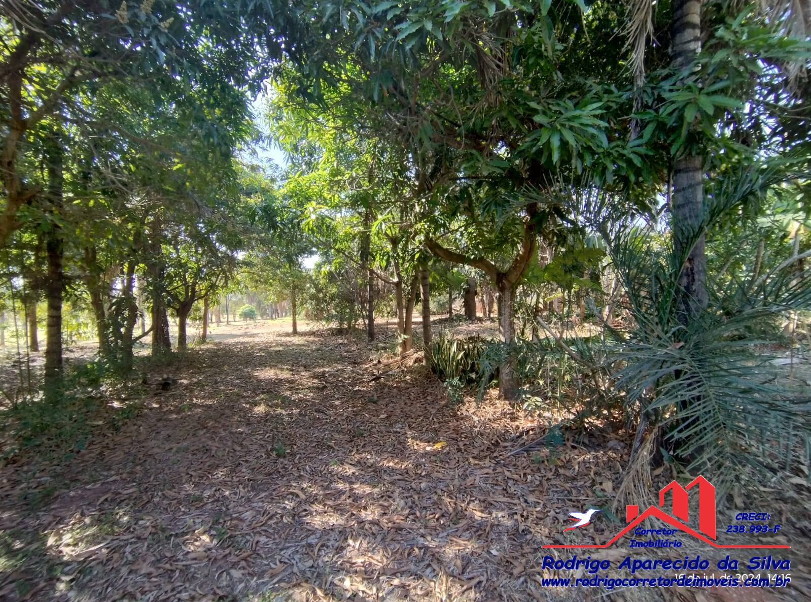 Chácara, 2 quartos, 1000 m² - Foto 32