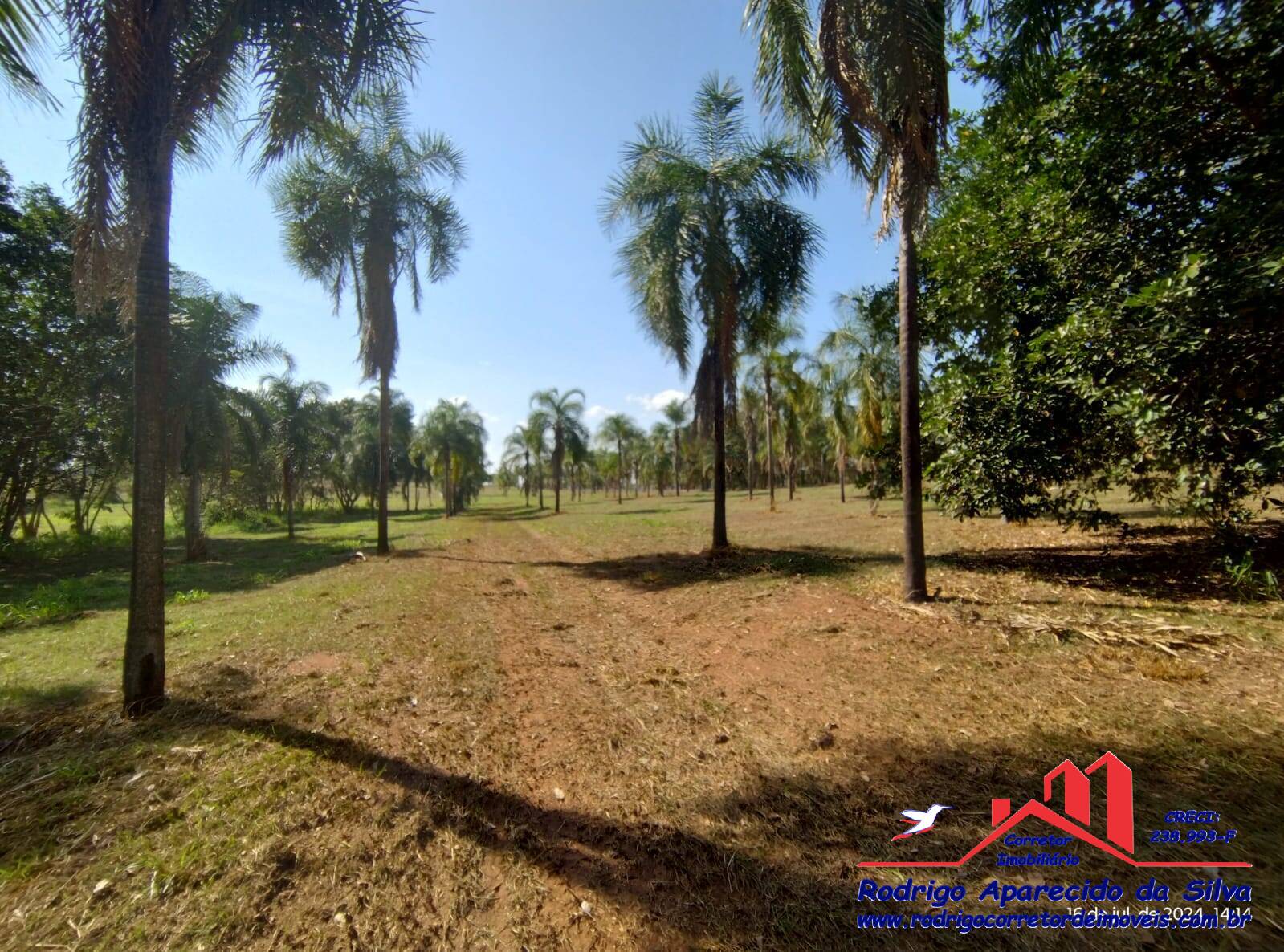 Chácara, 2 quartos, 1000 m² - Foto 50