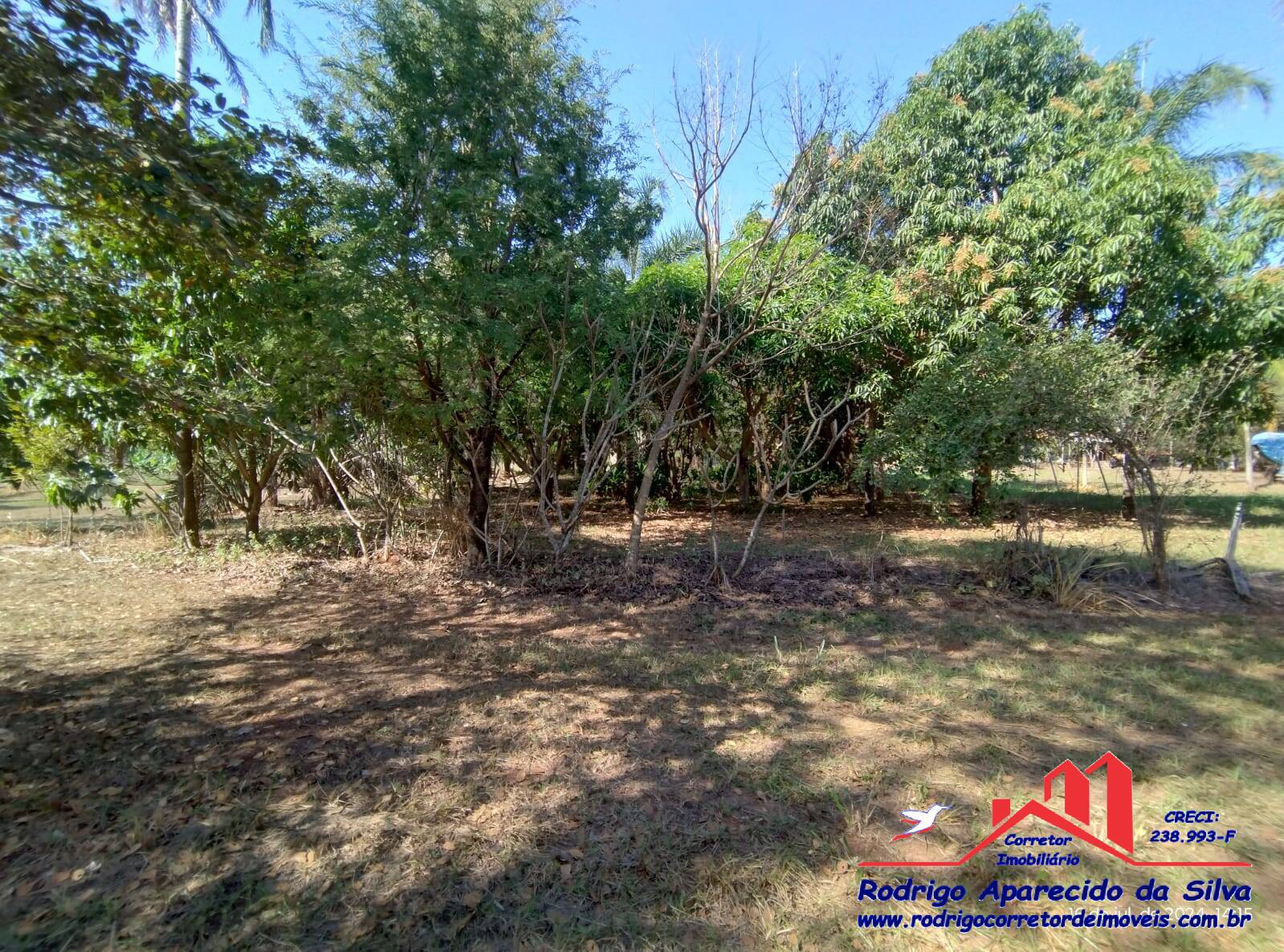 Chácara, 2 quartos, 1000 m² - Foto 37