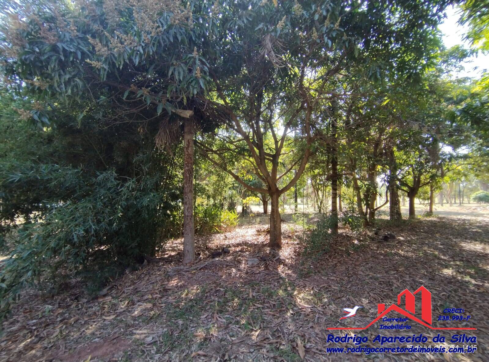 Chácara, 2 quartos, 1000 m² - Foto 38