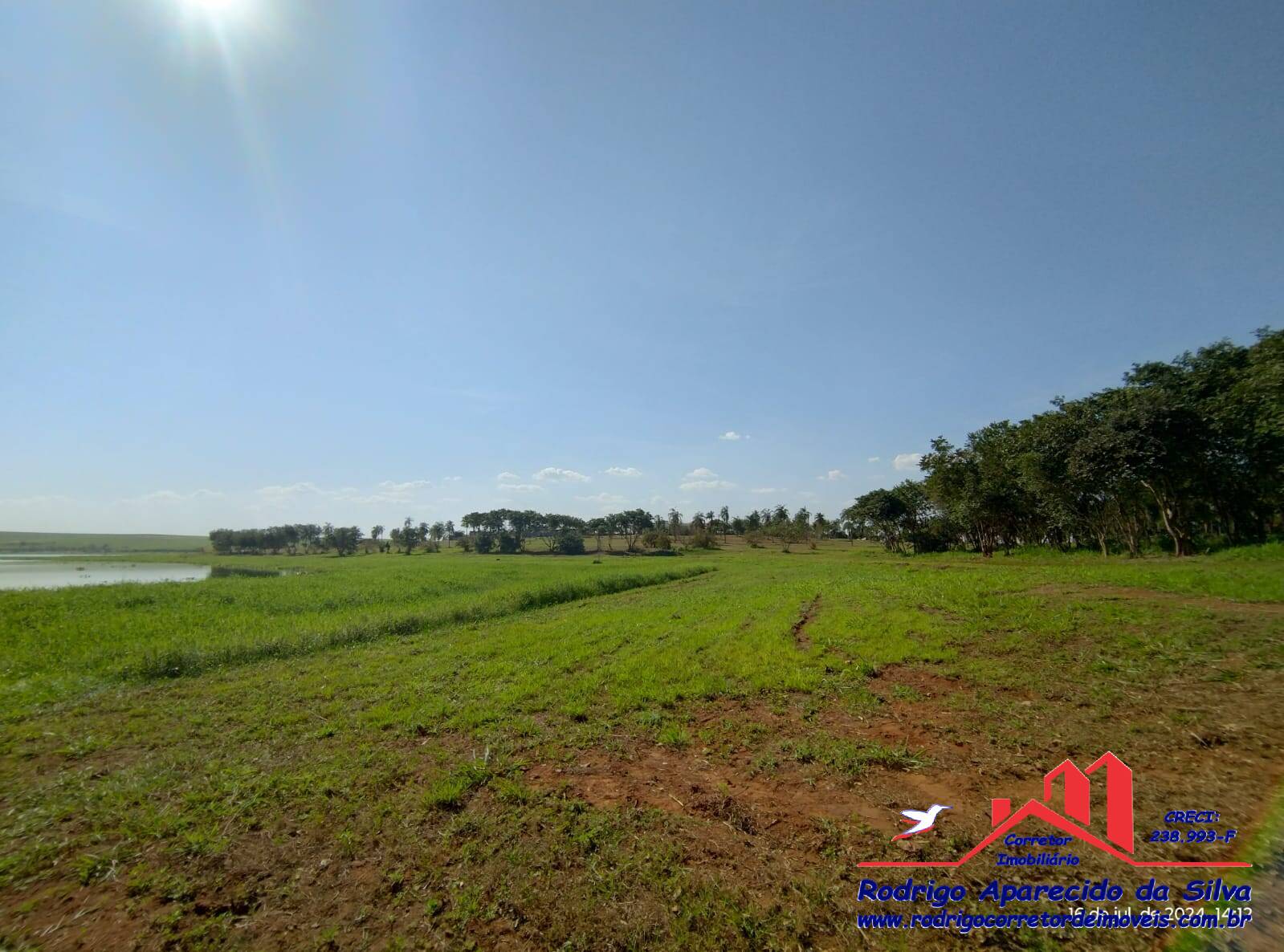 Chácara, 2 quartos, 1000 m² - Foto 40