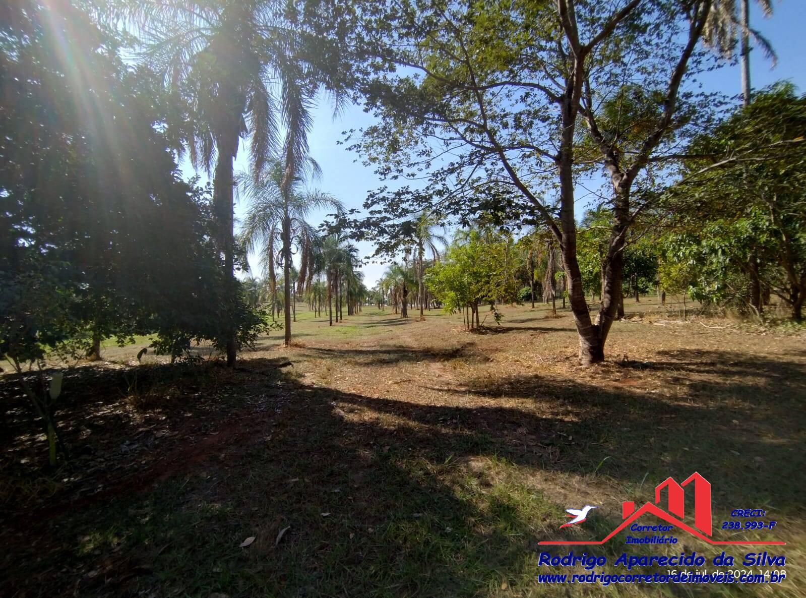 Chácara, 2 quartos, 1000 m² - Foto 48