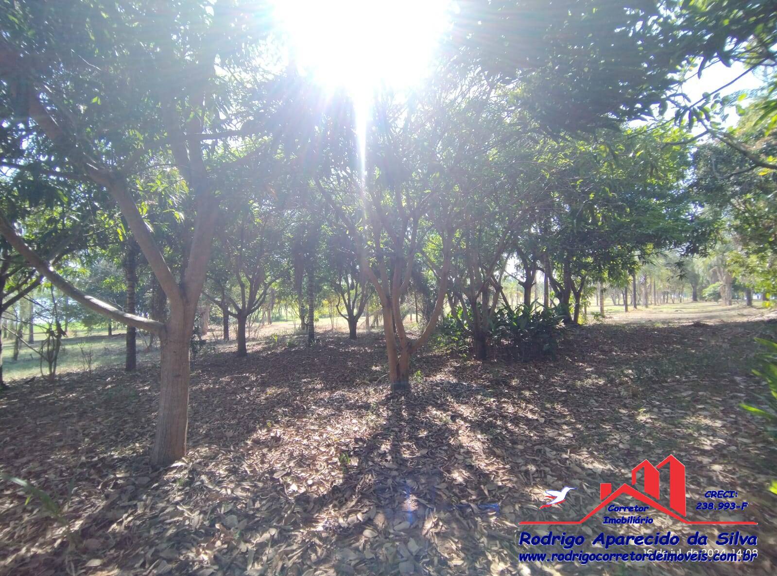 Chácara, 2 quartos, 1000 m² - Foto 46