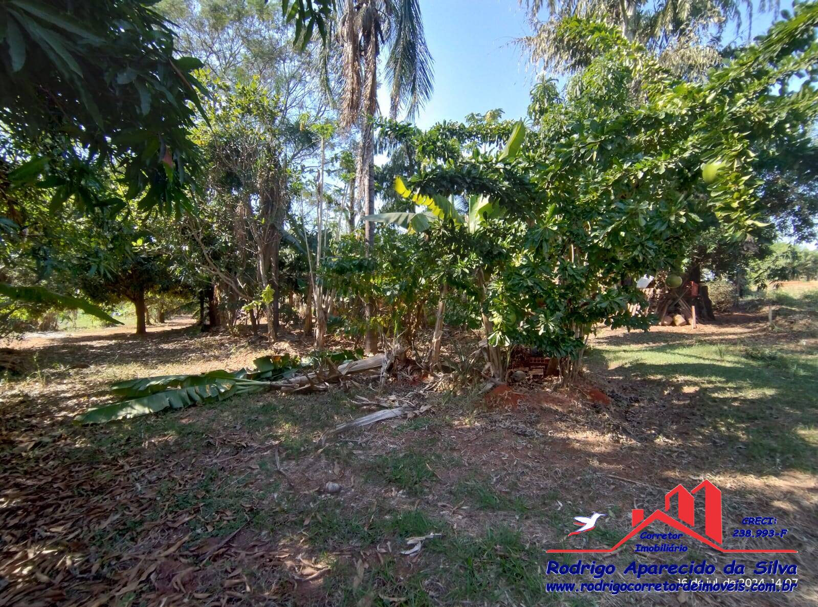 Chácara, 2 quartos, 1000 m² - Foto 55